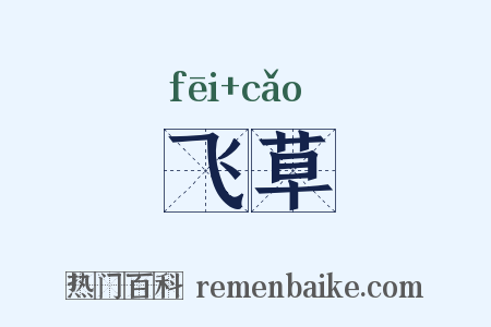 飞草是什么意思的图片